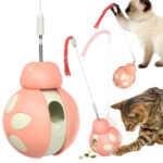 Balancing car Beetle cat toy