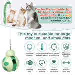 Balancing car Beetle cat toy