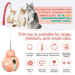 Balancing car Beetle cat toy