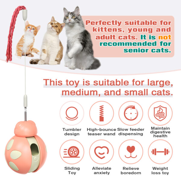 Balancing car Beetle cat toy
