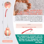 Balancing car Beetle cat toy