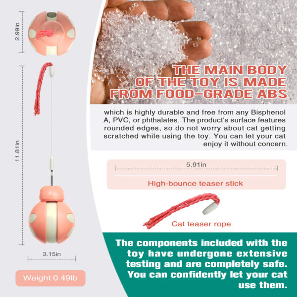 Balancing car Beetle cat toy