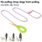 Pet leash