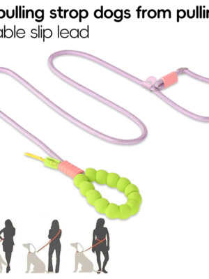 Pet leash