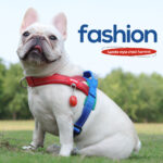 Three Color Contrasting Pet Harness