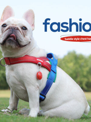 Three Color Contrasting Pet Harness