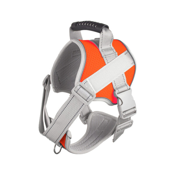 Dog collar pet leash reflective webbing wholesale for easy control tactics adjustable large dog leash dog accessories