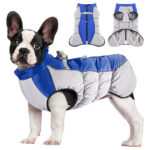 Pet clothing