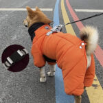 Four-legged padded jacket