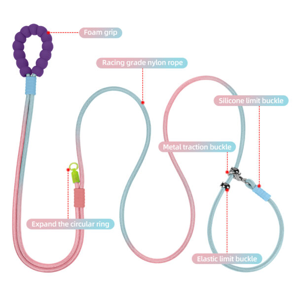 P-Type Nylon Dog Leash