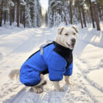 Four-legged padded jacket