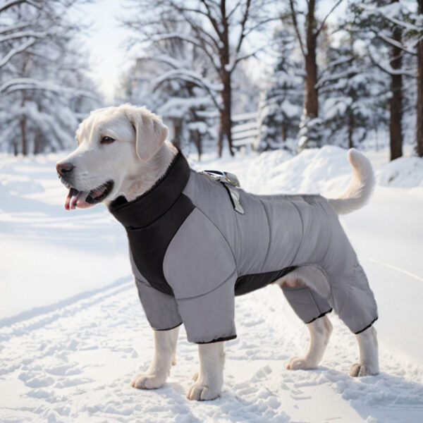Four-legged padded jacket