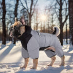 Four-legged padded jacket