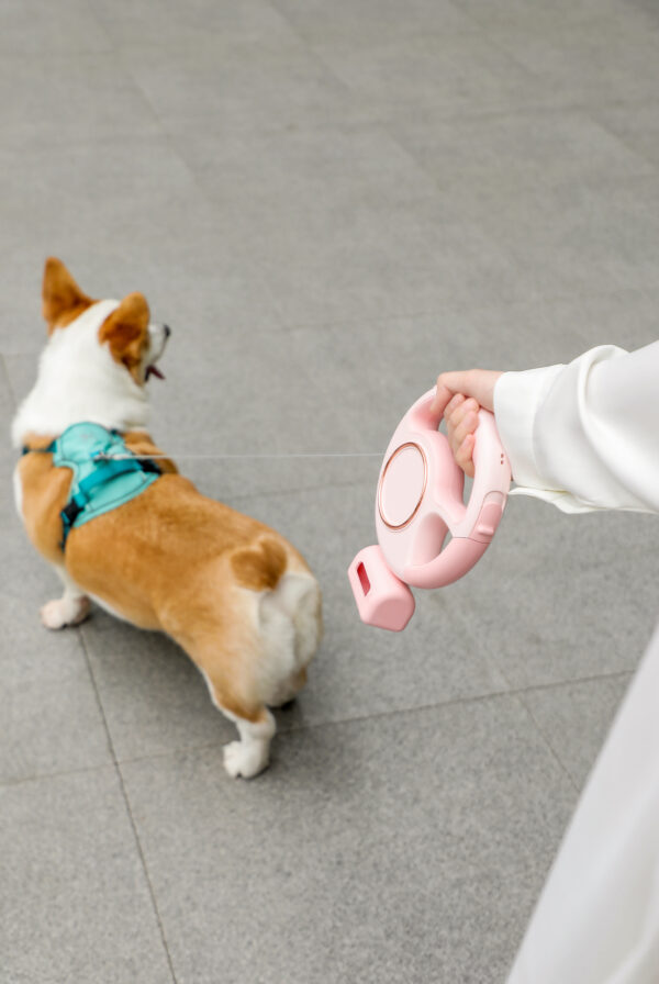 Automatic Retractable Dog Leash Adjustable With Led Light and Poop Bag