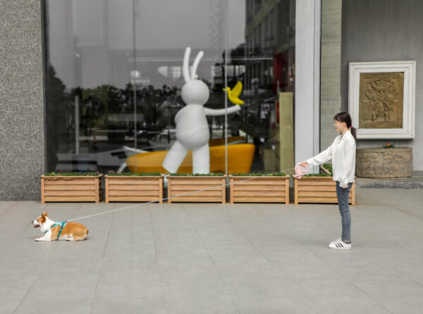 Automatic Retractable Dog Leash Adjustable With Led Light and Poop Bag