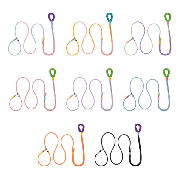 P-Type Nylon Dog Leash