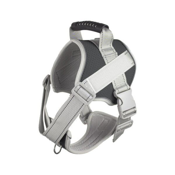 Dog collar pet leash reflective webbing wholesale for easy control tactics adjustable large dog leash dog accessories