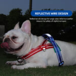 Three Color Contrasting Pet Harness