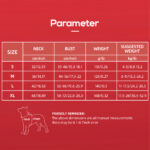 Three Color Contrasting Pet Harness