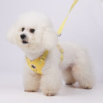 Wholesale Custom Solid Pet Harnesses Breathable Dog Harness with Leash