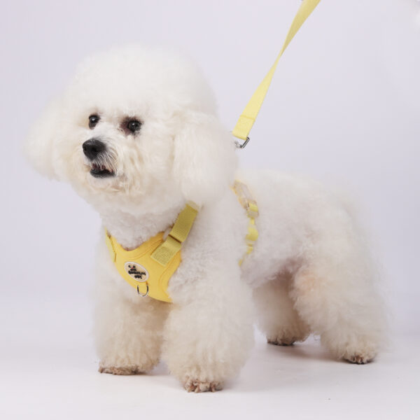 Wholesale Custom Solid Pet Harnesses Breathable Dog Harness with Leash