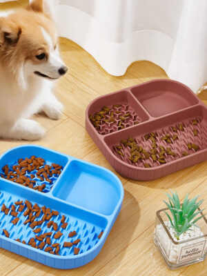 3-in-1 Silicone Slow Feeder