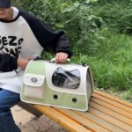 Pet Backpack Handheld Large Capacity Crossbody Bag