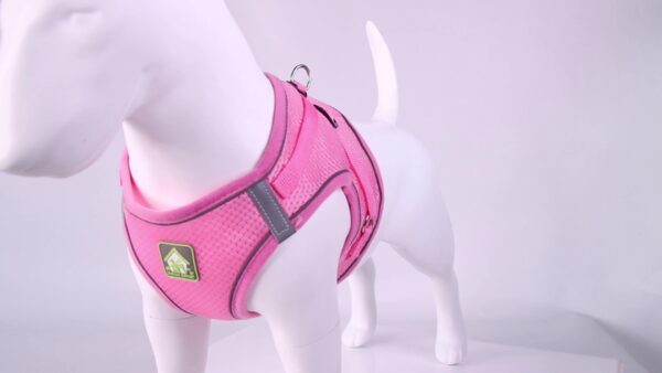 Breathable Mesh Dog Pet Harness Set