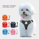 Breathable Mesh Dog Pet Harness Set