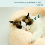 Breathable Dog Bed with Floral Design Washable Cat Nest Sofa Pet Beds