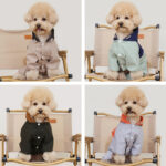 Dual-use Four-legged Pet raincoat