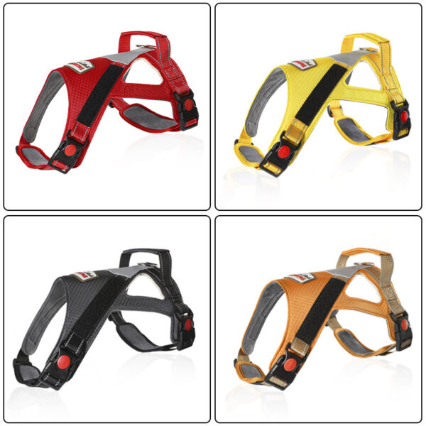 T9 Saddle breast back