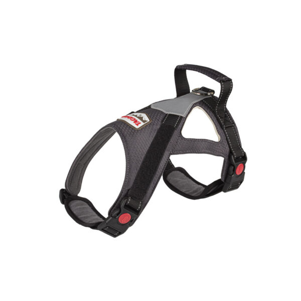 T9 Saddle breast back