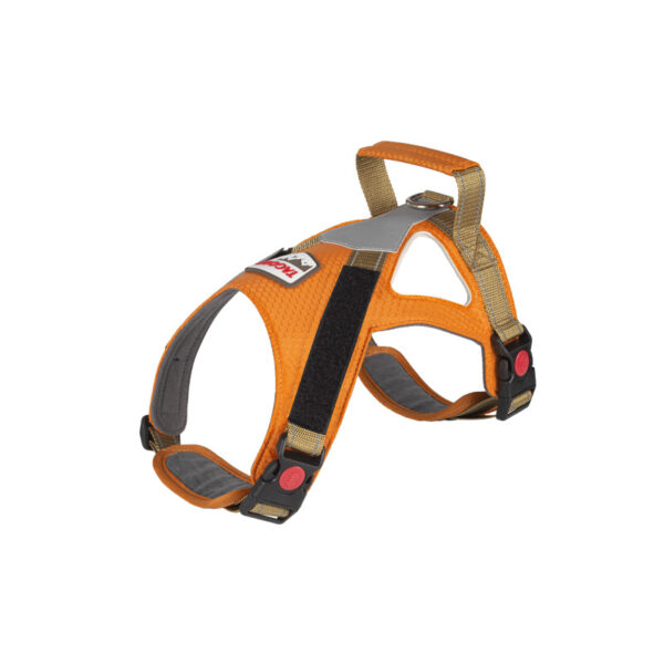 T9 Saddle breast back