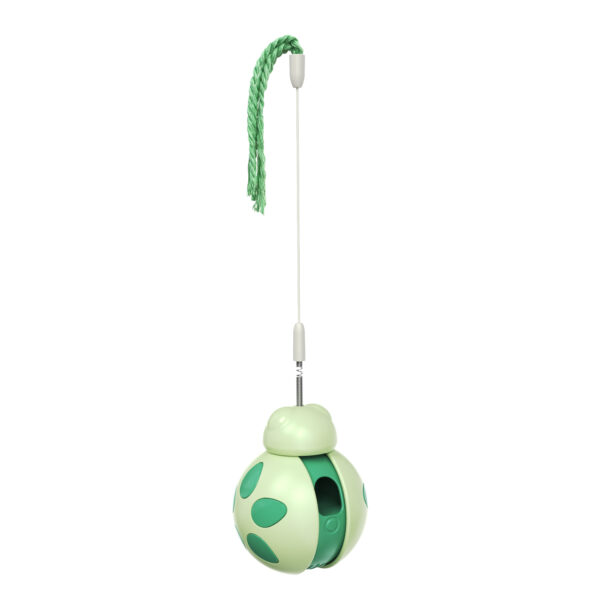 Balancing car Beetle cat toy