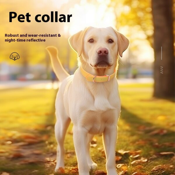 pet collar