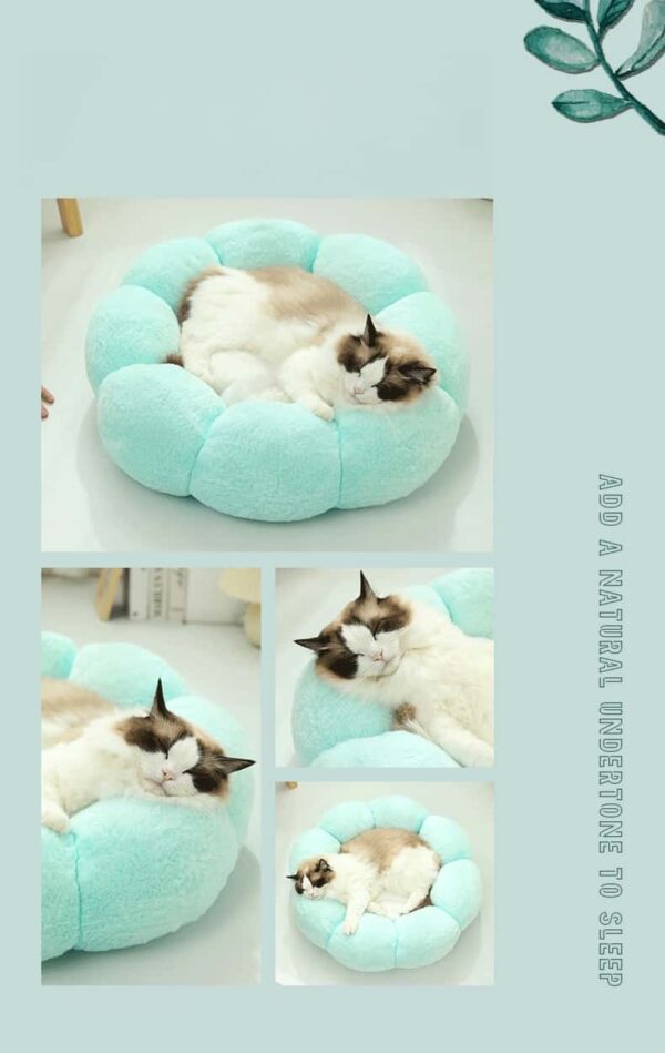 Fluffy Flower Cat Bed