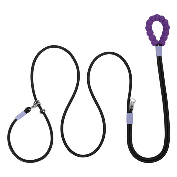 P-Type Nylon Dog Leash