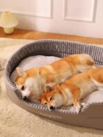 Washable Double-Sided 3D Stereoscopic Pet Bed