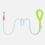 Multi - purpose Dog P - Leash