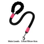 Two-in-One Anti-Tangle Dog Dog Leash