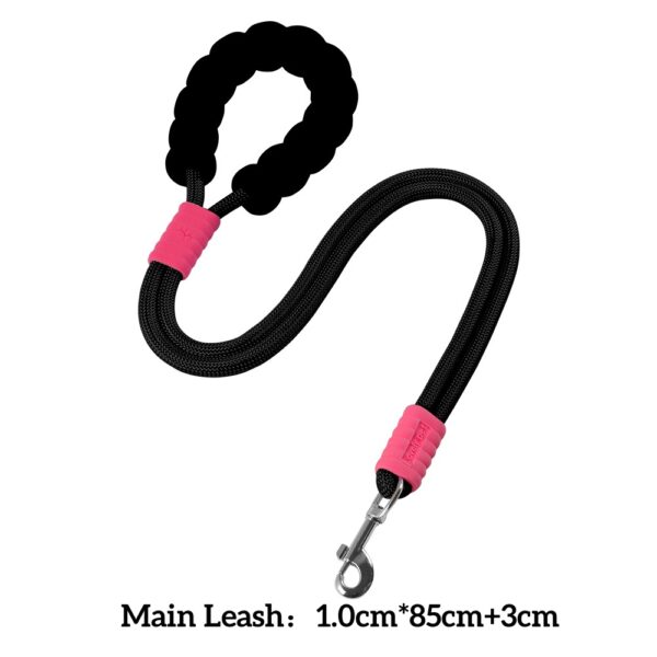 Two-in-One Anti-Tangle Dog Dog Leash