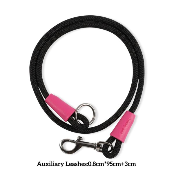 Two-in-One Anti-Tangle Dog Dog Leash