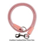 Two-in-One Anti-Tangle Dog Dog Leash