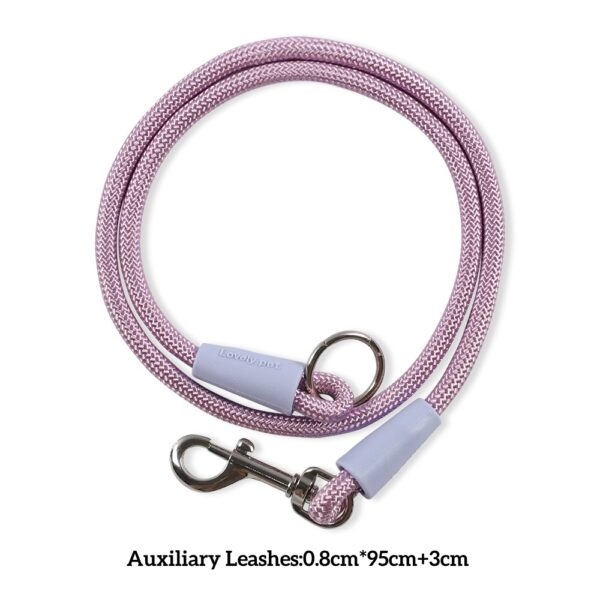 Two-in-One Anti-Tangle Dog Dog Leash