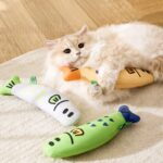 Squeaky Catnip Fish Pet Toy