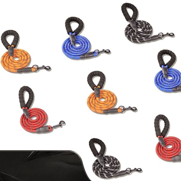 Reflective Nylon Dog Leash