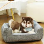 New Cross - border Thickened & Raised Pet Mat