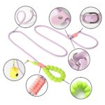 Multi - purpose Dog P - Leash