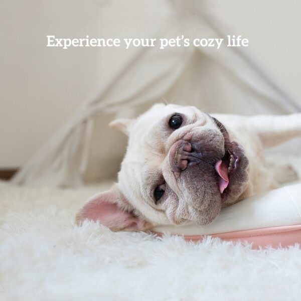 Rectangular Long - Pile Pet Blanket